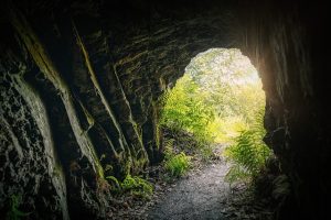 L'exploration guidée de la célèbre grotte de Lascaux avec ses fresques historiques impressionnantes